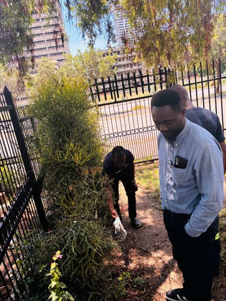 During the first human rights workshop in Pretoria, participants not only enjoyed learning about educational services, sustainable development and economic development, but also greening.